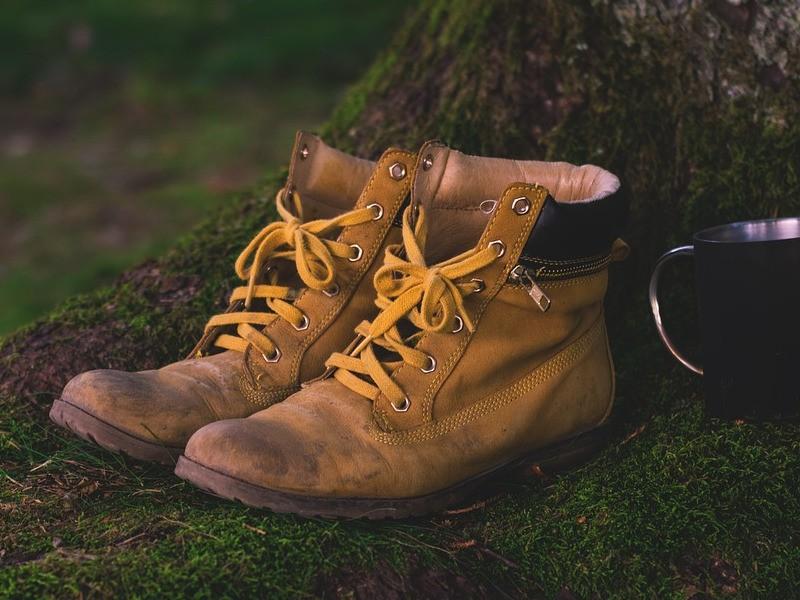 Les Lacets Vernoil Vernantes