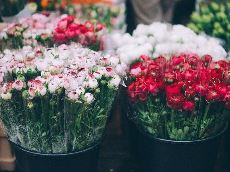 La solidarité s'organise