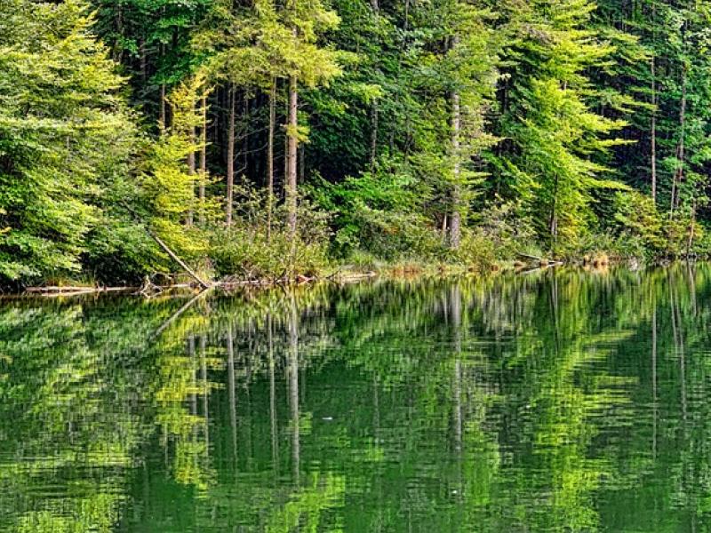 randonnee les lacets etangs et forets