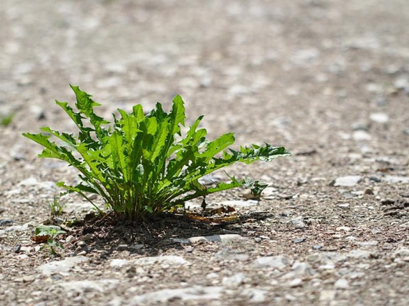 Arrêté sécheresse