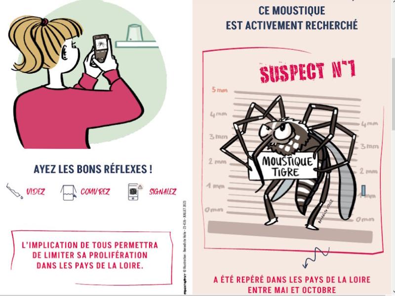 Lutte contre le moustique tigre