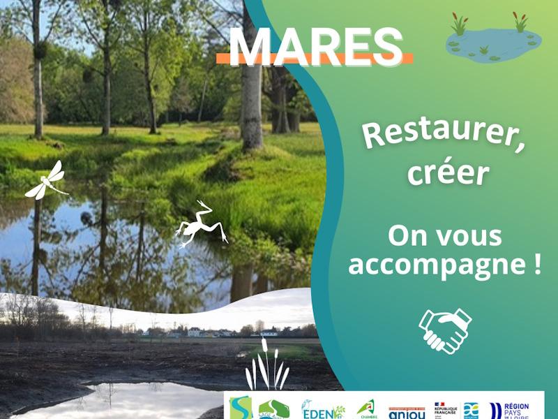 Aides au financement de création de mares