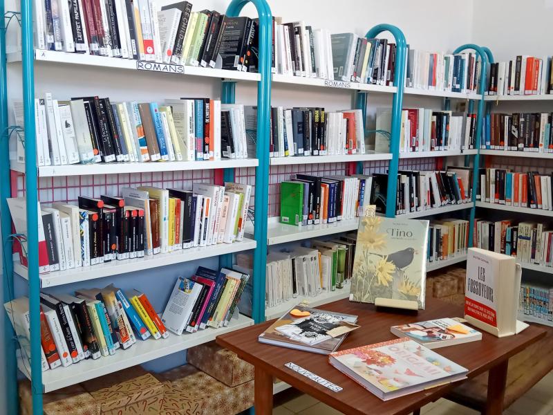 bibliotheque adultes