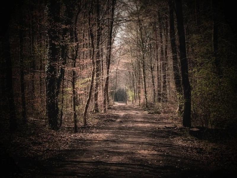 Arrêté sur obligation de débroussaillement